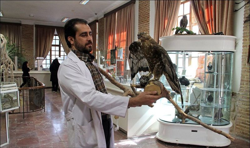موزه حیات وحش هفت چنار در کدام شهر است؟ تهران