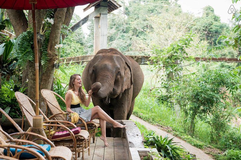 کمپ فیل های آبی از جاهای دیدنی تايلند