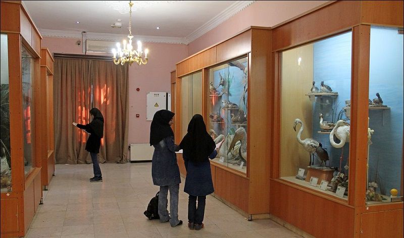موزه حیات وحش هفت چنار در تهران