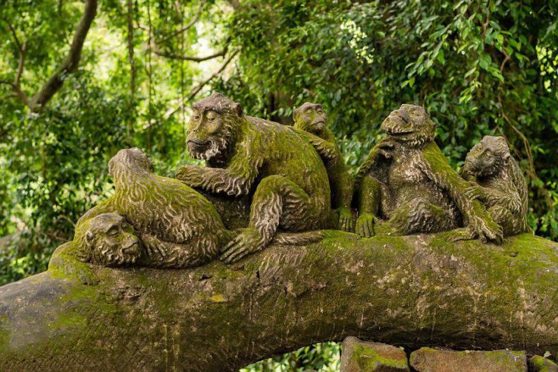 جنگل میمون یوبود از مناطق ديدني بالي