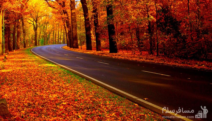جاده چالوس در پاییز