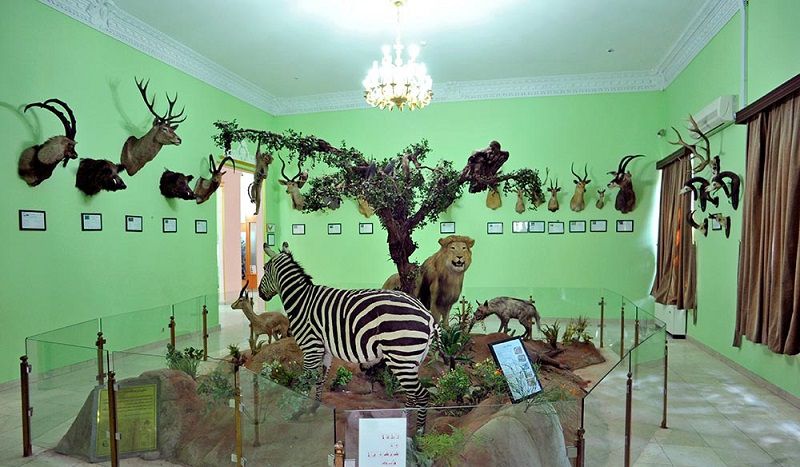 موزه حیات وحش هفت چنار عکس