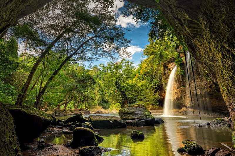 در مسافرت به مالزی از پارک ملی باکو غافل نشوید!